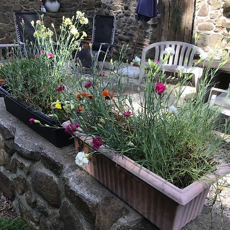 Spacious, Rustic Studio Space For 2 Persons Saint-Cyr-du-Bailleul 외부 사진