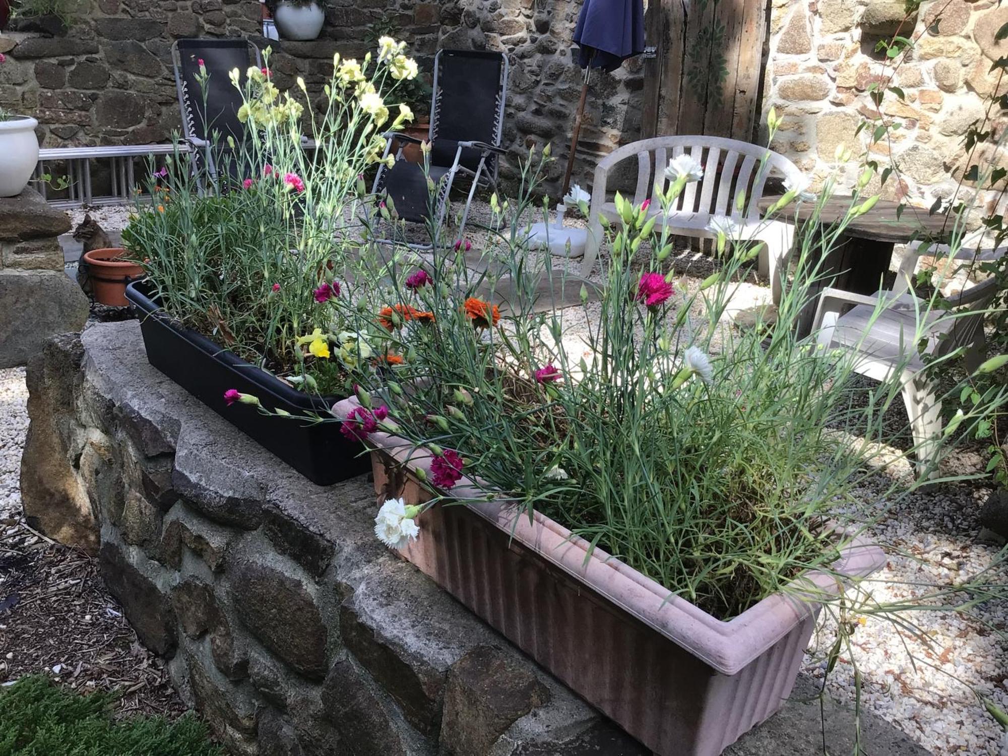 Spacious, Rustic Studio Space For 2 Persons Saint-Cyr-du-Bailleul 외부 사진